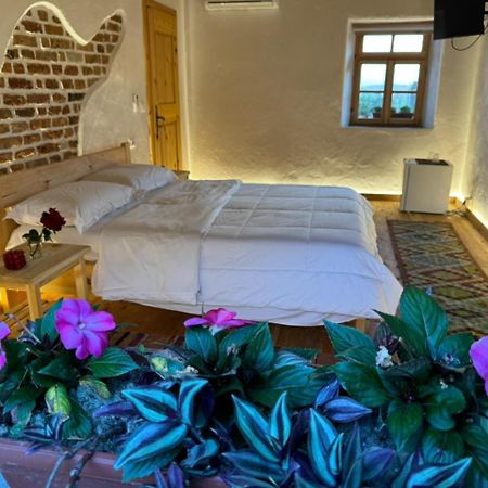 Guesthouse Vitoria - Mrizi I Zanave Fishte Ngoại thất bức ảnh